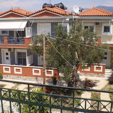 Irini Apartments Anaxos Rum bild